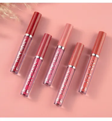 HANDAIYAN 6 Colors Velvet Matte Liquid Lipstick Set